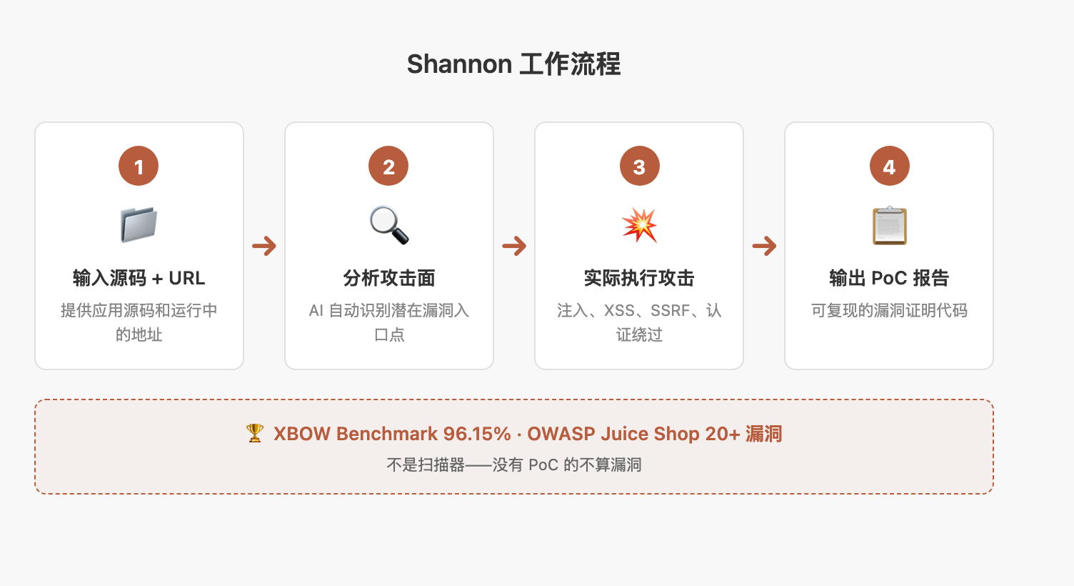 Shannon 工作流程